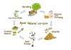 A Peel Material Life Cycle