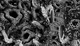 asemic poetics by Jonathan Boyd