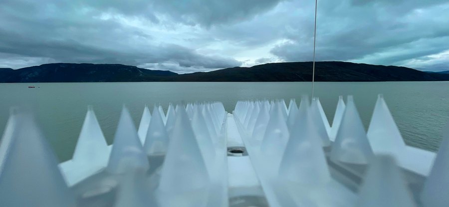 NEMO AI Camera Kangerlussuaq, Greenland