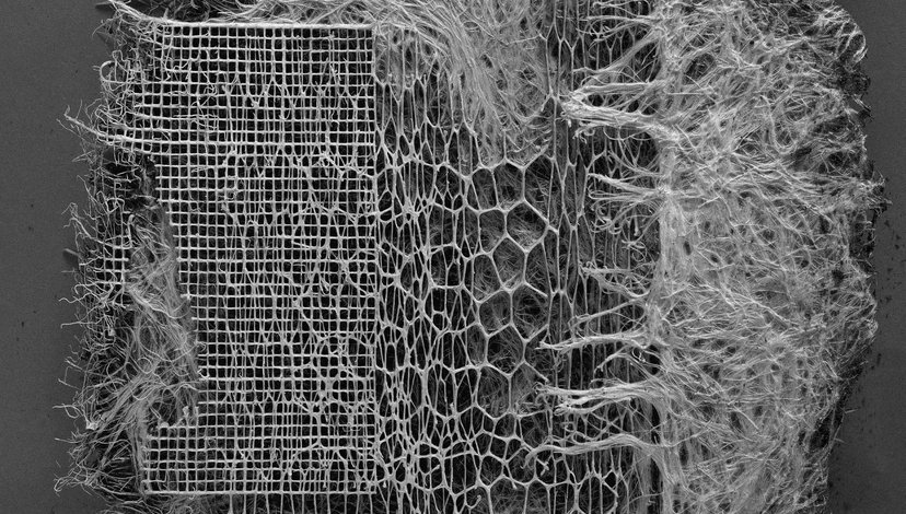 Close up of root system growing through mesh