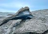 Russel Glacier Greenland