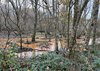 Acid drainage flooding in the Carnon valley after heavy rain, December 2024