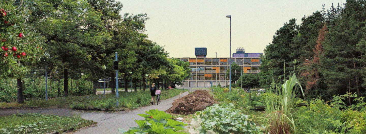 Campus in a Forest