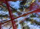 Textile Manoeuvres