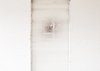 Point of View, 2005