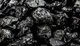 Coal