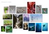 Movement in nature