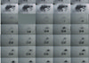 Colin Polwarth animation mosaic_Viamma reimagned.jpg