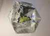 Collective-visualisation-of-Oxford-Brookes-Icosahedron.jpg