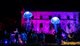 Artistic celebration and creative advocacy by project partner, I Stand Beside: ‘Dance of the Sea Nettles’ performed at Green Gathering in August 2024.jpeg