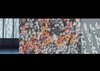 Di-Simulated Crowds