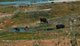 Wetland Disappearance
