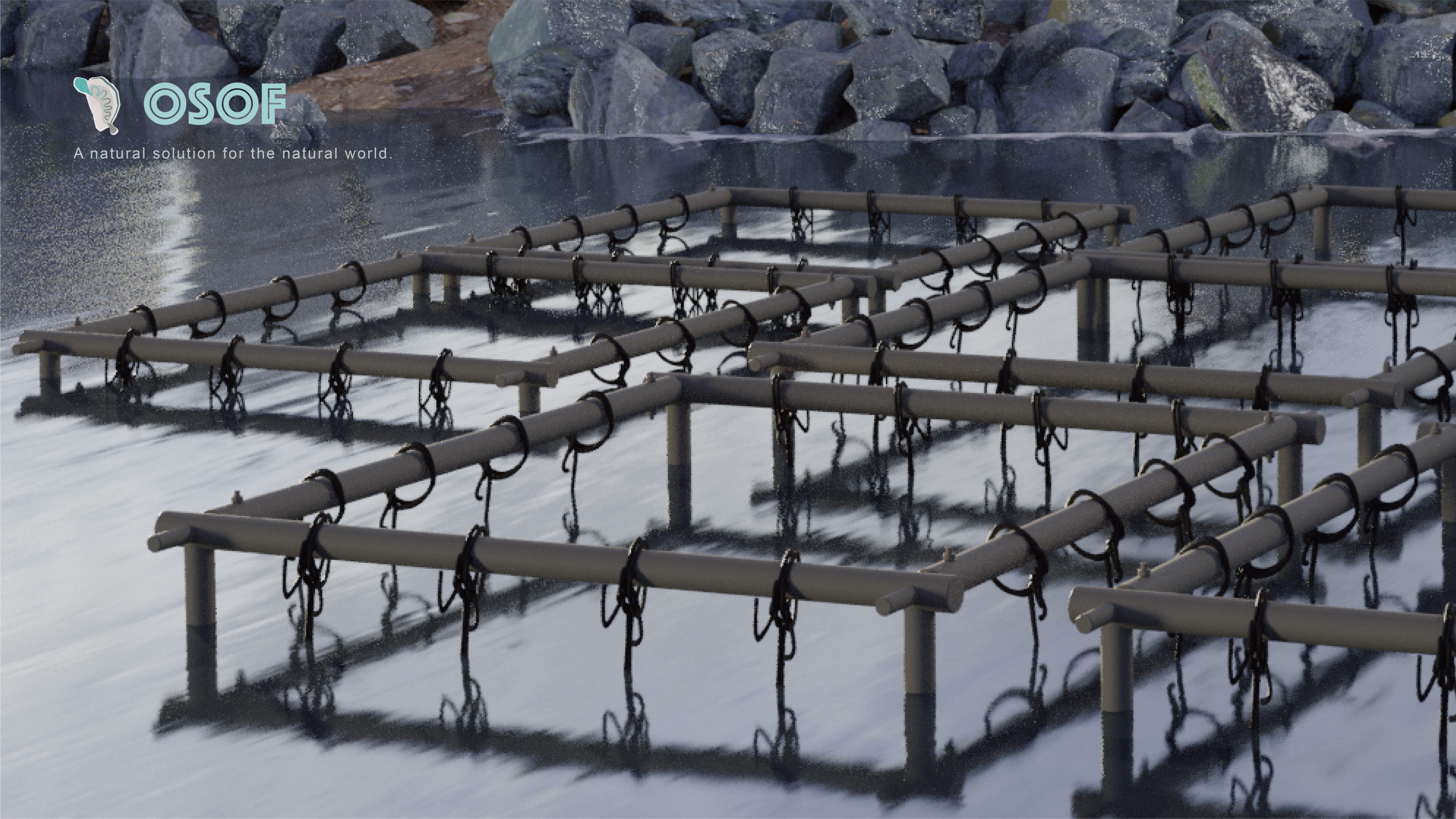 Open Source Oyster Farming