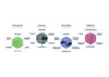 Creative sustainability themes