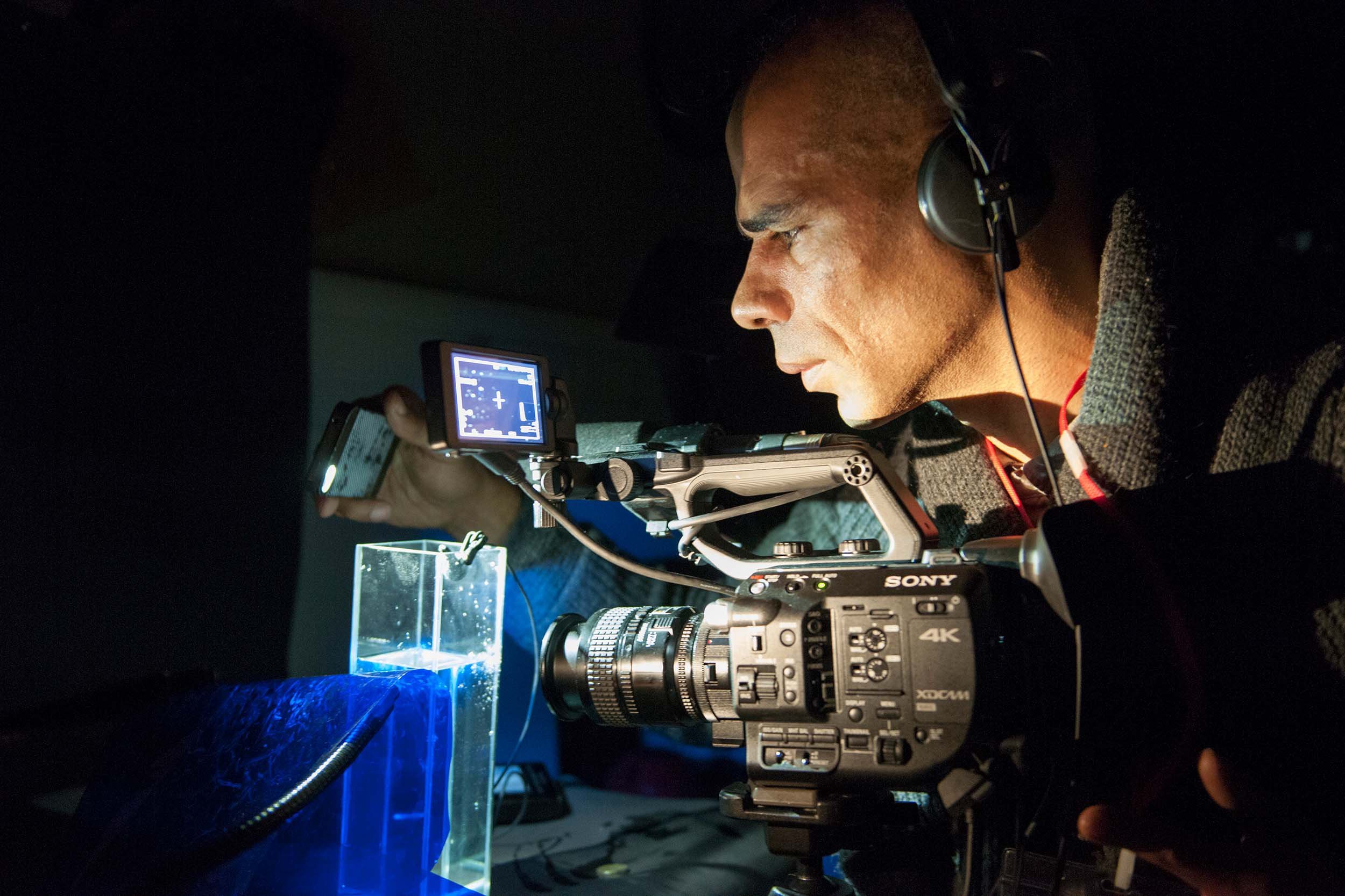 Wayne Binitie, Ice Bubble Recording