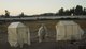 Museo Pelumpen - 'Invernaderos Fantasmas' (Phantom greenhouses) - Scenic intervention by the theatre company 'Monstruos Postindustriales' in Limache, Chile 2022