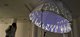 Full Dome Research Project