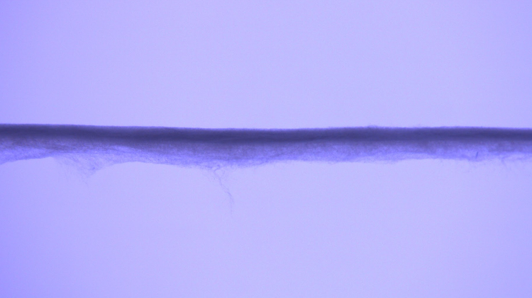 Microscope image of yarn specimen
