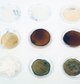 Wheat straw transformation with Acetobacter to produce bacterial cellulose, Miriam Ribul, 2019