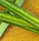 Sabutan and Pandan