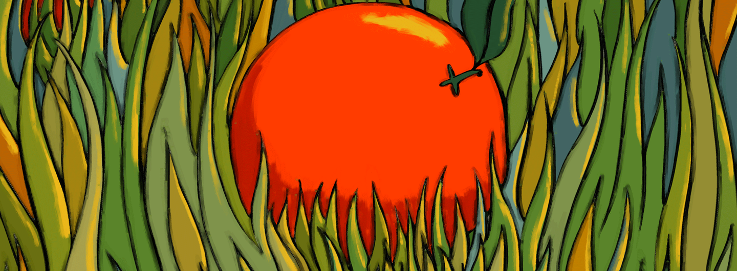 The Eating of an Orange, 2024 (film still)