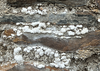 White arsenic crystals growing on the Labyrinth ruins, Great Consol Mine, Tamar Valley