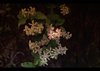 Botanist