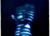 Striptease Scan. Re-recorded. 2014