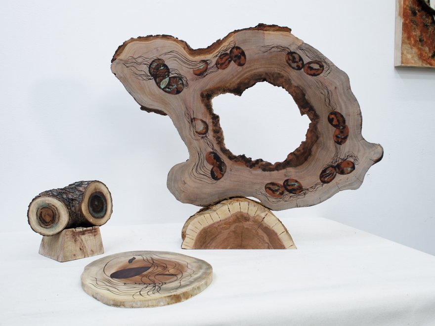 cross sections of tree trunk painted with abstract patterns