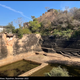 Unearthing the Hidden Treasures: Stepwells and Dynastic Legacies